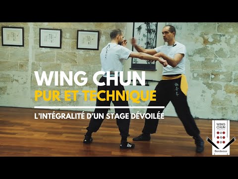 Wing Chun Pur et Technique – L’intégralité d’un stage dévoilée