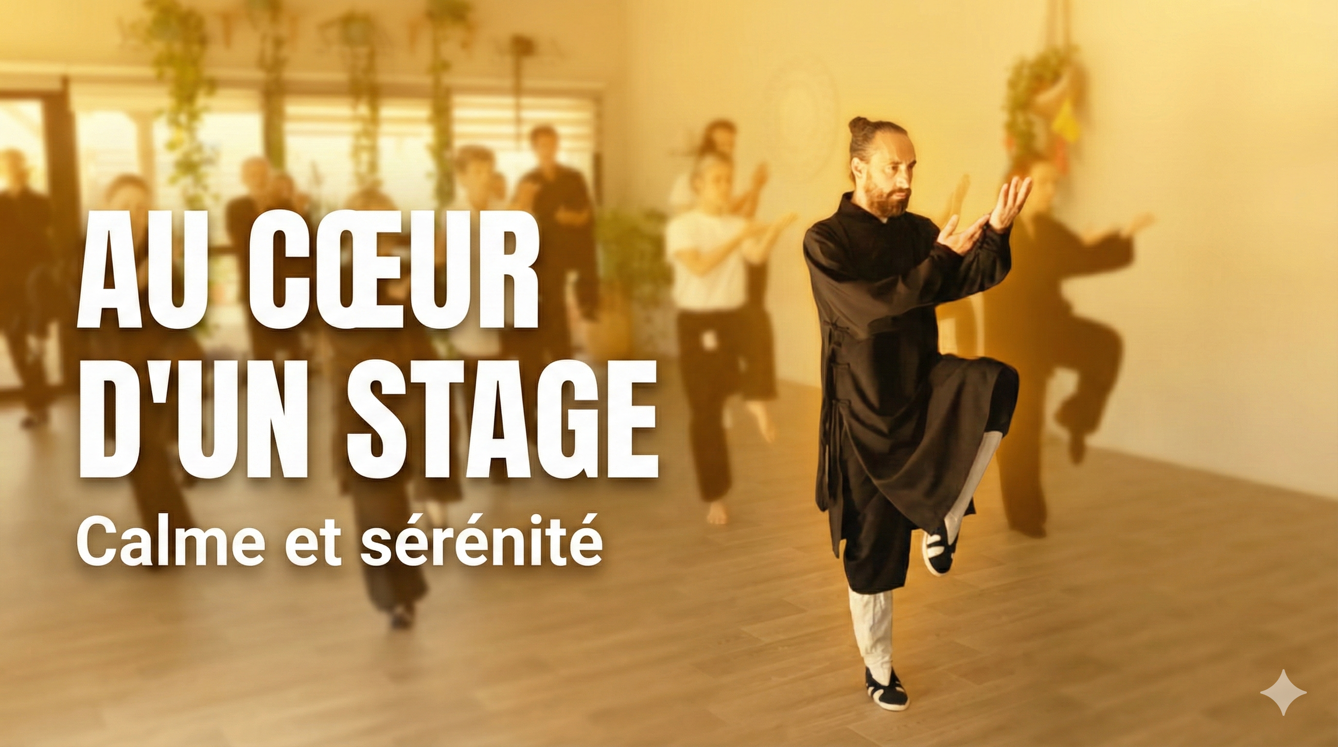 Au cœur du Stage : La justesse du geste pour trouver la Sérénité (Wudang)