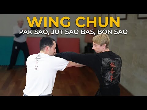 différentes finitions sur un exercice de Wing Chun contre un jab, direct bas et de nouveau jab